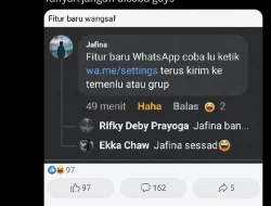 Viral Link wa.me/setting, Kenapa Bikin Error?