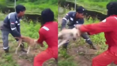 Menteri BUMN Erick Thohir Mengecam Aksi di Video Viral Pelemparan Anjing: Suruh Pertamina Tindak Tegas